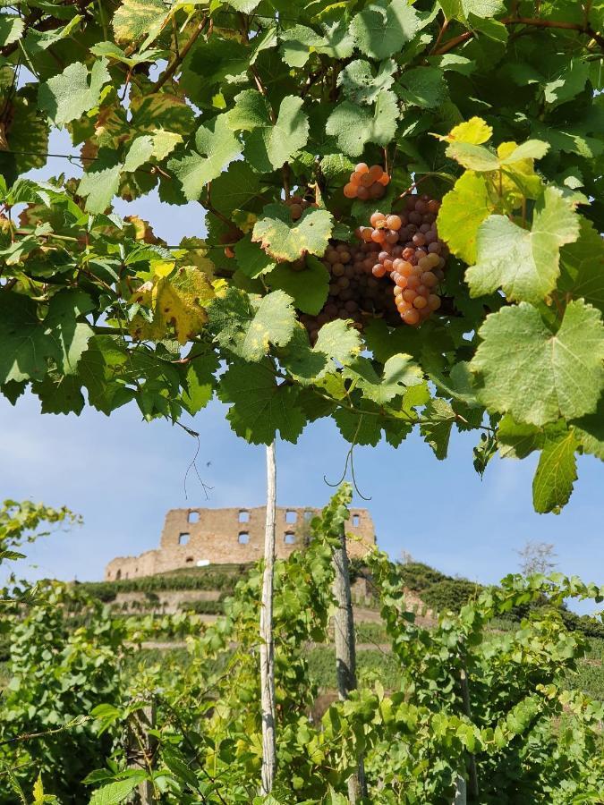 Ferienwohnung Am Musbach In Badenweiler-Sehringen Ngoại thất bức ảnh